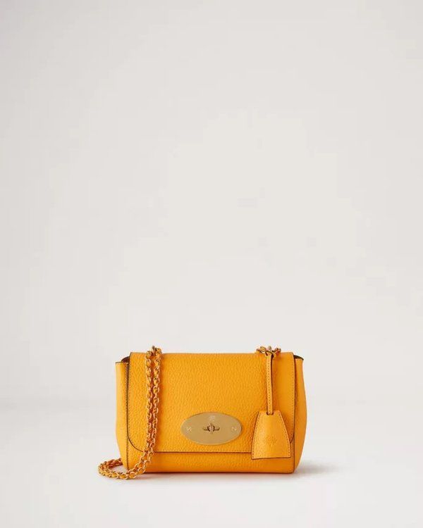 Small lily mulberry bag hot sale